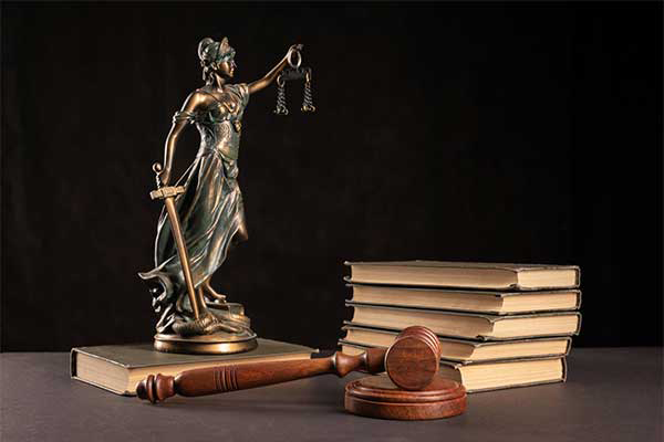 derecho-constitucional-especialidades