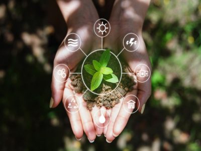 Maestría en Recursos Naturales Renovables